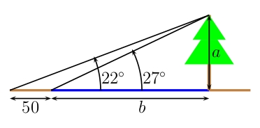 diagram of tree on bank of river